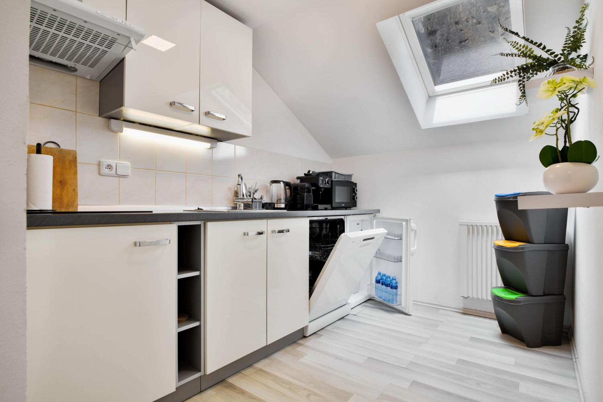Apartmany Decin Dış mekan fotoğraf