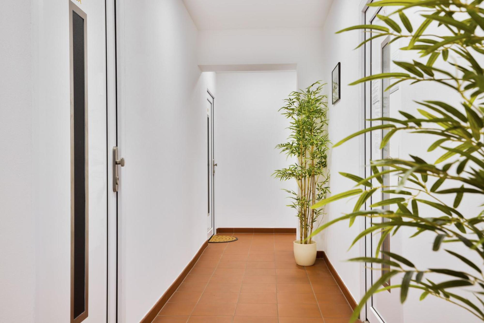Apartmany Decin Dış mekan fotoğraf